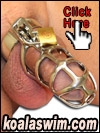 Male chastity slave cock cages by koalaswim.com cock and anal gear